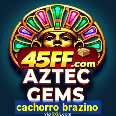 cachorro brazino